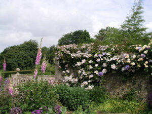 Walled garden