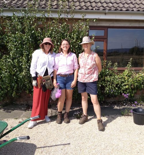 Students pruning the famed Conference pear espalier, which bore 170 fruit in 2025