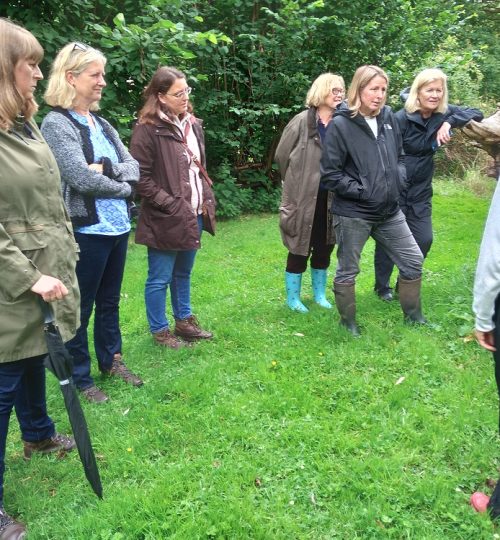 Final Garden Design lesson at a local wildlife garden, July 2024