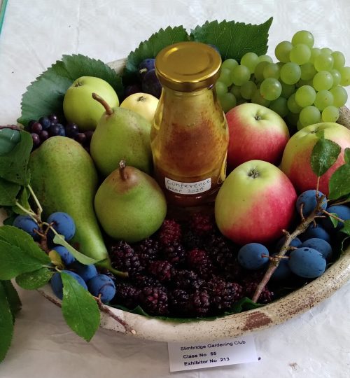 Slimbridge Gardening Club fruit entry, which contributed to winning the cup - again!