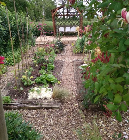 Square Foot Vegetable & Cut Flower Garden
