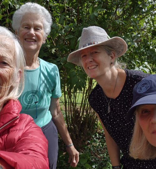 Summer Pruning Shrubs, Roses and Perennials July 2024