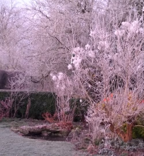 Jack Frost waving his magic wand at May Cottage